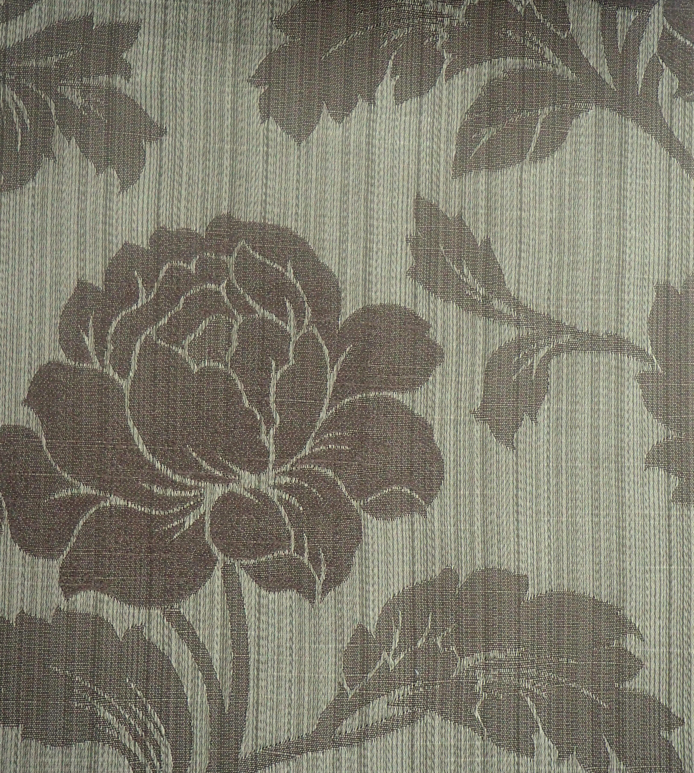 OLYMPUS DIGITAL CAMERA MORITZ - MIRAGE 2172 COL : COFFEE - Image 1