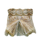 BRAID WITH CUT FRINGES 3610 COL: 03 (60MM)