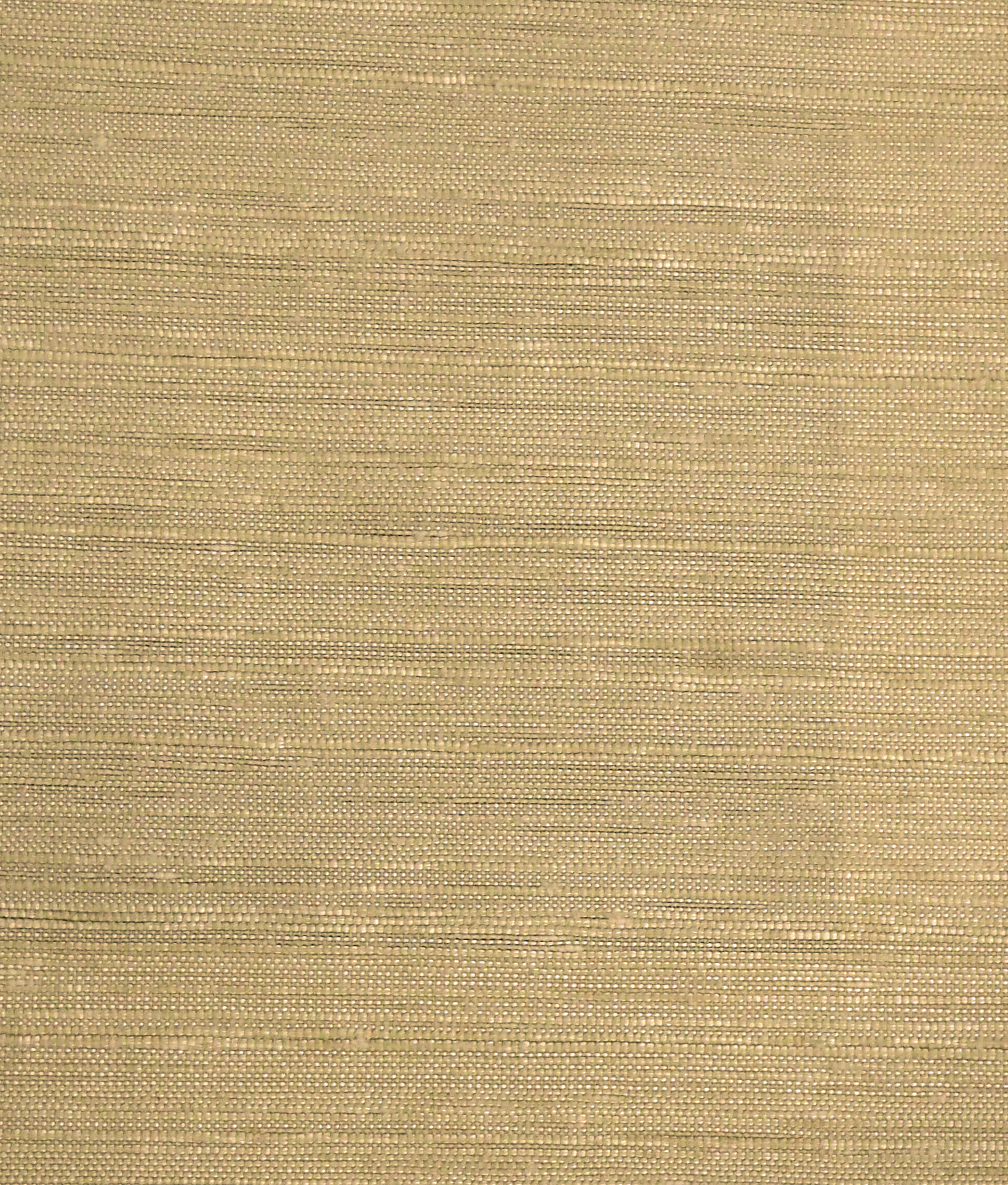 OLYMPUS DIGITAL CAMERA MORITZ - NEXUS 2115 COL : PARCHMENT - Image 1